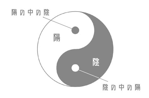 陰陽 太極|陰陽論から読み解く太極の本質【陰陽論①】 